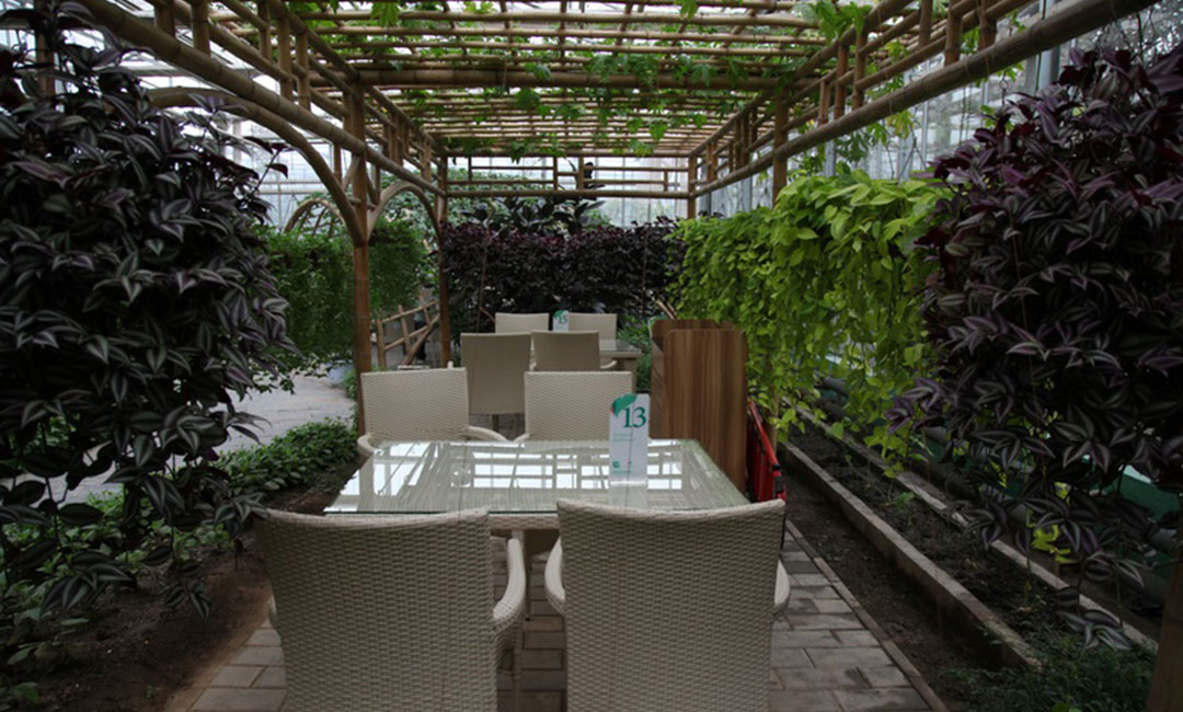 山西康柏宇品牌文案撰写案例